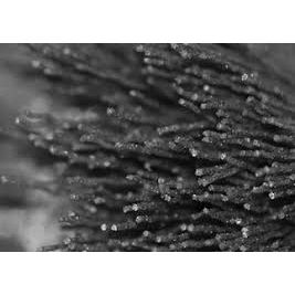 MOTORSCRUBBER TILE & GROUT BRUSH